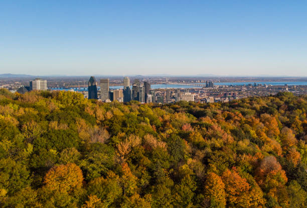 istock Titre	 Canadian autumn, aerial view 1280176411