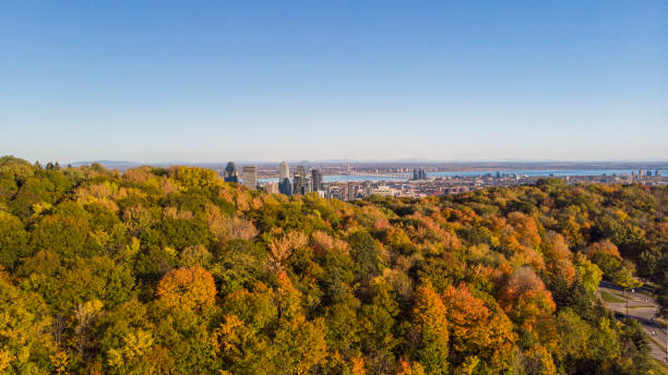 istock Titre	 Canadian autumn, aerial view 1280176439
