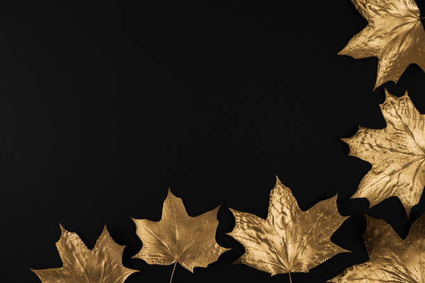 Autumn composition. Frame made of autumn golden maple leaves on black background. Flat lay, top view, copy space stock photo