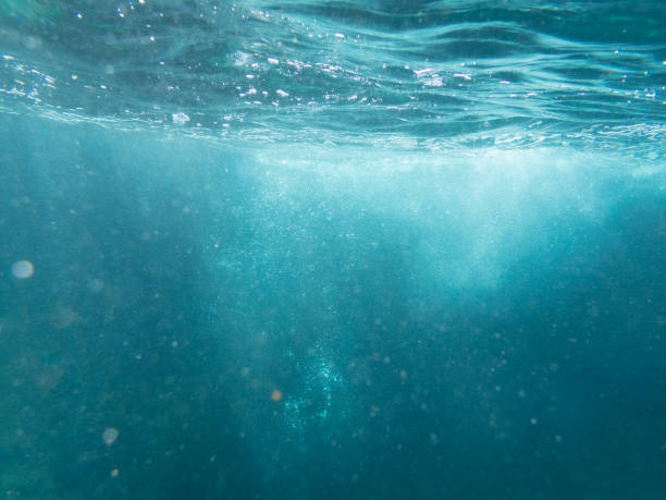 istock Underwater in Costa Brava, La Fosca 1280181650