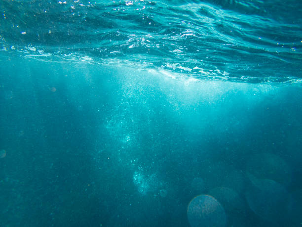 istock Underwater in Costa Brava, La Fosca 1280181688
