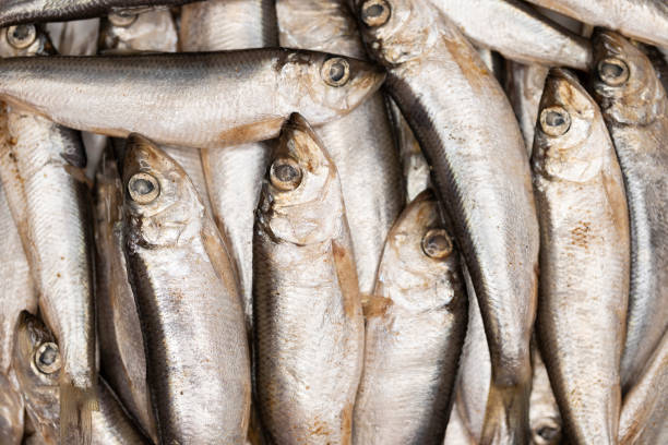 istock Salted anchovy with spices and herbs. 1280184456
