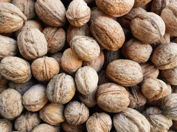 istock Walnuts background. Walnuts texture. Walnuts background. Organic food. 1280185354