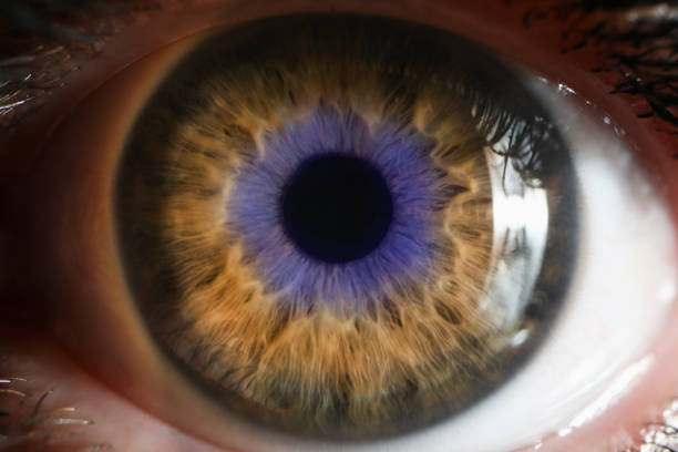 istock Close up shot of a human eye 1280186792