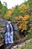 herbstfarben-bei-bushkill-falls.jpg?b=1&s=170x170&k=20&c=AvUwoKcekkO2v3A0h14m7EOCIvtS8f8veC35zoIFp5A=