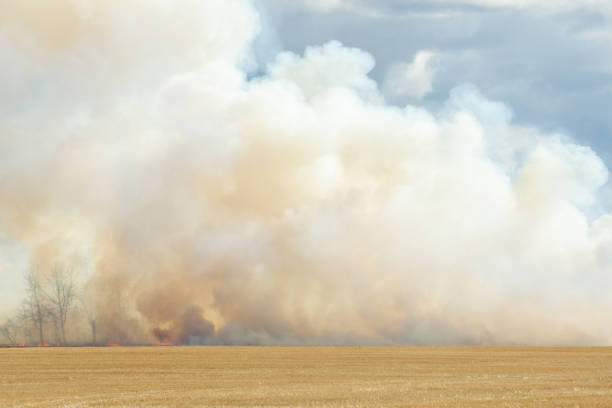 istock White clouds of smoke 1280188119