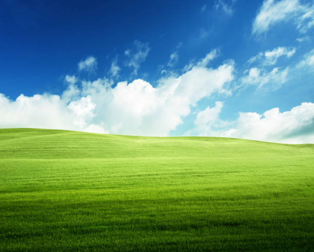 istock field of grass and perfect blue sky 1280188266
