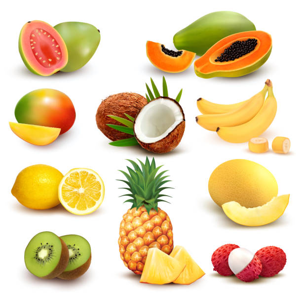 illustrations, cliparts, dessins animés et icônes de collection de fruits exotiques et de baies. papaye, goyave, citron, banane, mangue, noix de coco, kiwi, goyave, melon, ananas. ensemble vectoriel. - fruit exotique