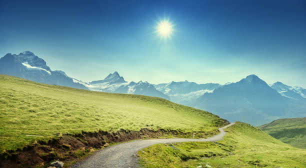 долина гриндельвальд с вершины первой горы, швейцария - switzerland european alps schreckhorn horizontal стоковые фото и изображения