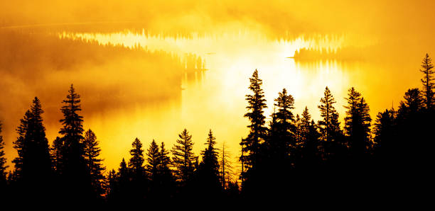 istock Forest in autumn with mist sunlight and clouds trees mountains 1280195529