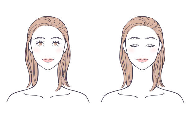Female face (eyes open / eyes closed) Female face (eyes open / eyes closed) only women illustrations stock illustrations