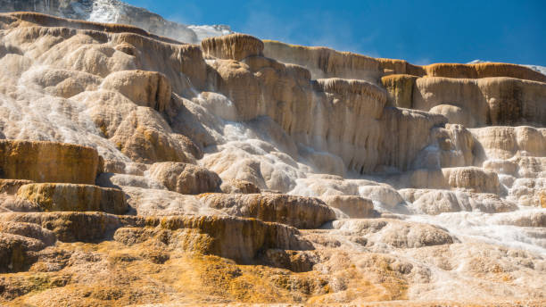 istock Yellowstone National Park mammoth hot spring pools 1280196629
