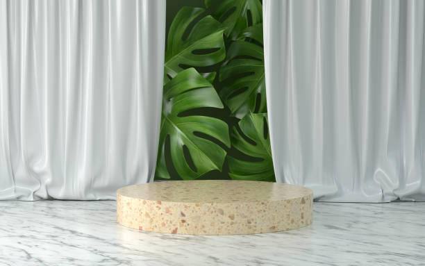 istock 3d rendering of marble Podium and Plant. 1280200490
