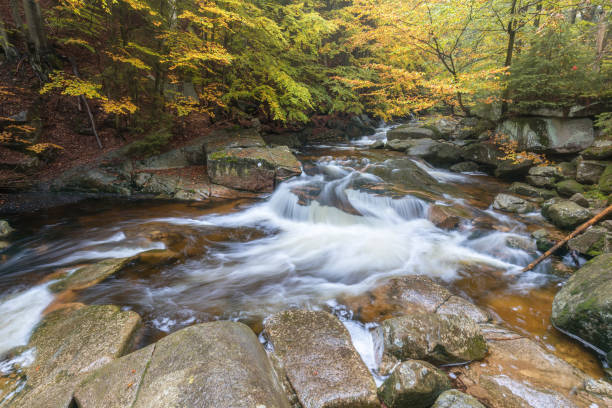 vista del arroyo del río cascada de montaña. cascada del bosque en las montañas. pequeño arroyo en la temporada de otoño, paisaje colorido. hermosa selva tropical. arroyo del río en madera profunda. - deep creek area fotografías e imágenes de stock