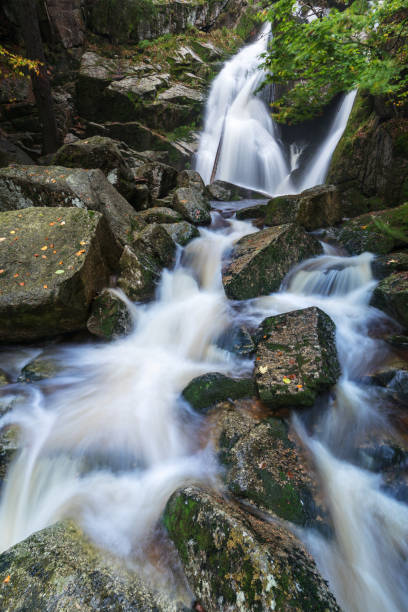 istock Mountain waterfall river stream view. Forest waterfall in mountains. Small stream in autumn season, colorful landscape. Beautiful rain forest. River creek in deep wood. 1280201247