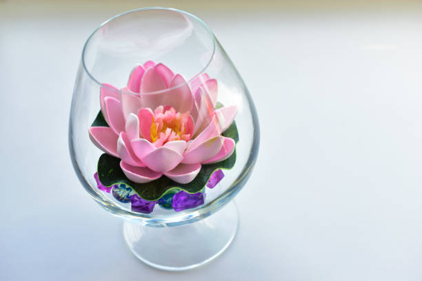 lotus flower