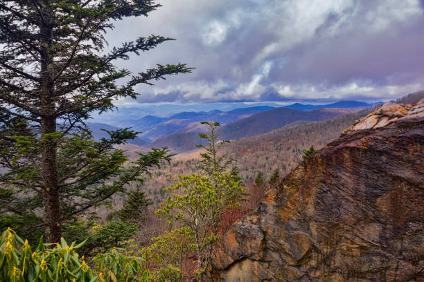 pasmo górskie blue ridge w karolinie północnej - blue ridge mountains mountain range mountain north carolina zdjęcia i obrazy z banku zdjęć