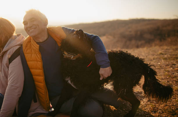 istock Autumn day spent in nature 1280204491
