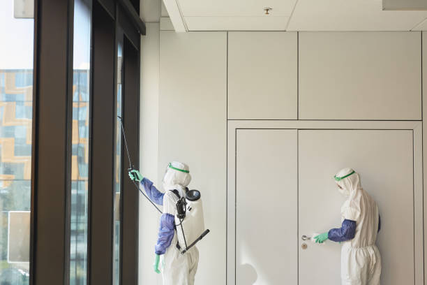 istock Graphic Background of Workers Disinfecting Office 1280207955