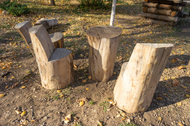 Wooden chairs and table made of stumps