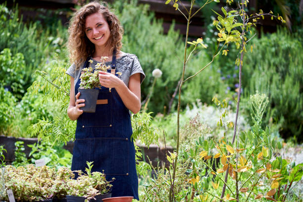 istock Woman working in plant nursery 1280213654
