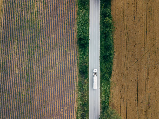 istock Aerial View of Lavender Fields 1280213956