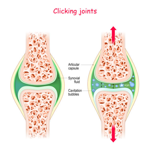 gelenke und knallgeräusche. physiologischer mechanismus der kavitation. - fingerknöchel stock-grafiken, -clipart, -cartoons und -symbole