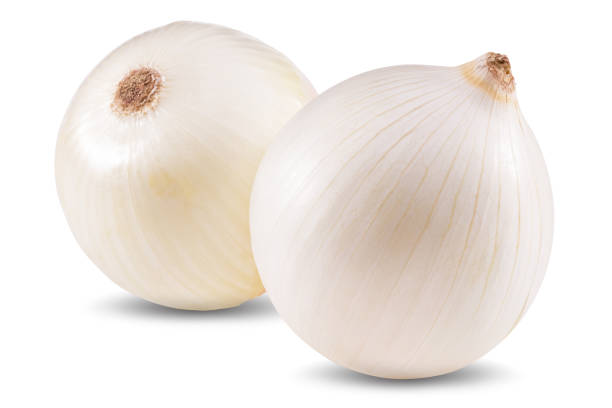 istock white onion isolated on white background. clipping path. full depth of field 1280214798