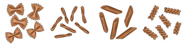 ilustrações de stock, clip art, desenhos animados e ícones de set of different pasta types: farfalle, casarecce, fusilli, and penne. - whole wheat