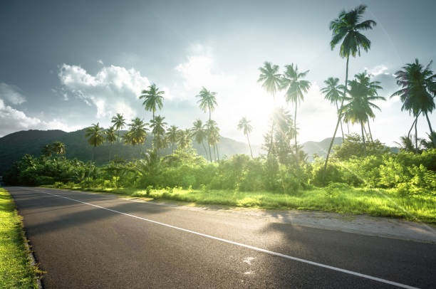 istock empty road in jungle of Seychelles islands 1280218273