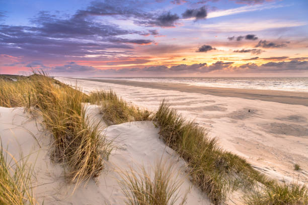 istock View from dune top over North Sea 1280218343
