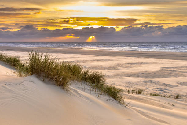 istock View from dune top over North Sea 1280218435