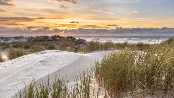 istock View from dune top over North Sea 1280218488