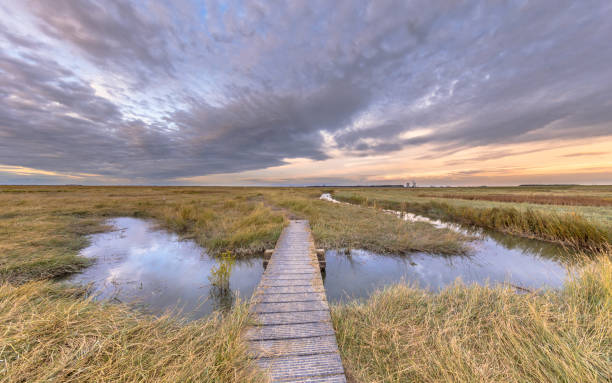 istock Boardwalk in Tidal Marshland nature reserve Saeftinghe 1280218511