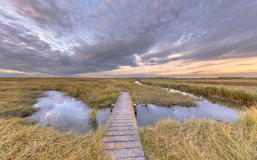 Boardwalk in Tidal Marshland nature reserve Verdronken land van Saeftinghe in Province of Zeeland. Netherlands