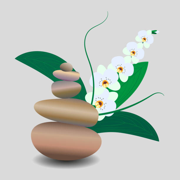 дзен каменный баланс, нежный белый цветок орхидеи. 3d изображение камней, цветов. векторная иллюстрация для спа-салонов, студий йоги, студий � - buddhism zen like orchid stone stock illustrations