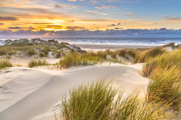 istock View from dune top over North Sea 1280219207