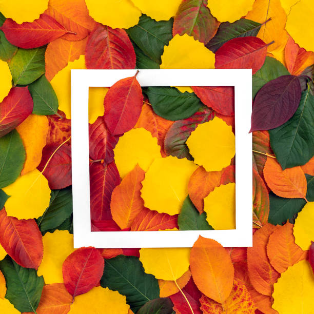 istock Creative layout made of autumn leaves in different colors. Minimal autumn abstract pattern. 1280219390