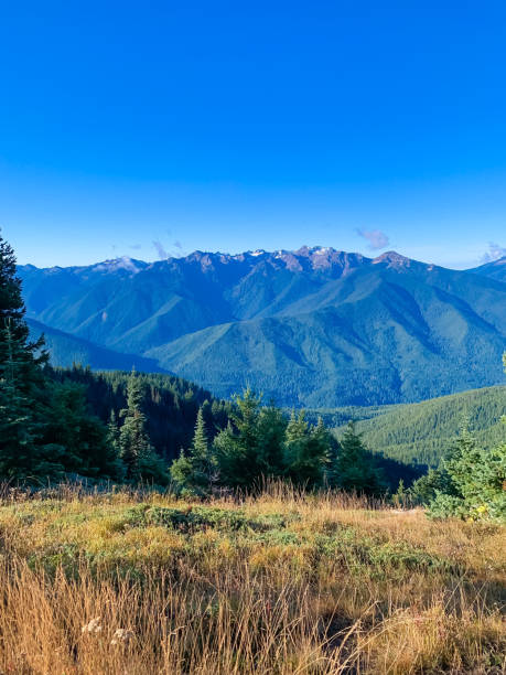 istock Peak view with mountains and trees in background 1280219567
