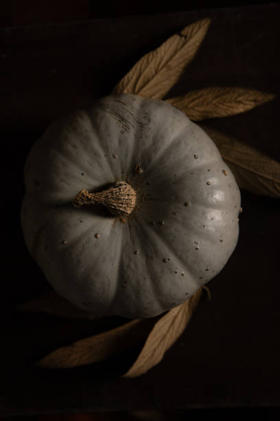 istock Dark and moody pumpkin on rustic vintage wood floor 1280220480