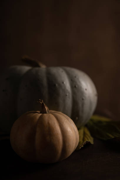 istock Two beautiful pumpkins in the shadow. 1280220619