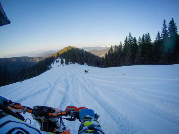 tour de fille et de petit ami dans les montagnes sur un snowbike. leur chien husky court avec eux. randonnée à hoverla - snow jumping snowmobiling sled photos et images de collection