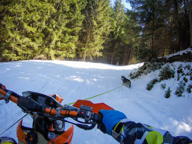 un homme monte un snowbike dans les montagnes. vue de la caméra sur le casque. clips de moto. forêt en hiver - snow jumping snowmobiling sled photos et images de collection