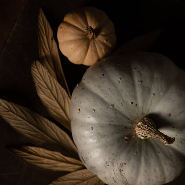 istock Top down on two beautiful pumpkins and dry leaves 1280221960
