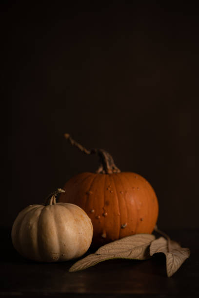 istock Vertical photo of two pumpkins on black background. 1280222859
