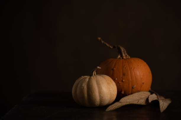 Autumn pumpkin decoration on black background