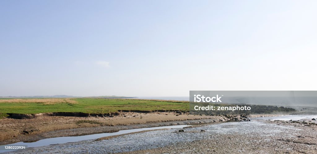 Salt mash landscape A creek in the salt marsh landscape flows into the Wadden Sea on the Frisian island of Ameland. Color Image Stock Photo