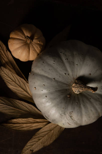 istock Still life autumn decoration, jack o' lantern pumpkins 1280223941
