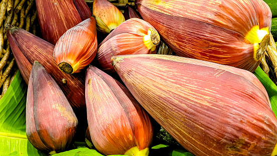 Banana blossom, also known as a “banana heart”, is a fleshy, purple-skinned flower, shaped like a tear, which grows at the end of a banana fruit cluster