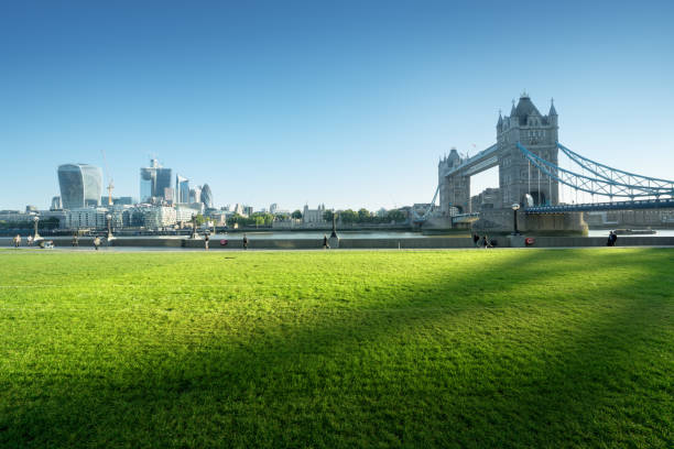 晴れた朝ロンドンの草と塔の橋、英国 - london england morning sunlight tower bridge ストックフォトと画像